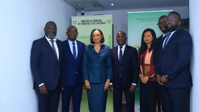 le-processus-de-monetisation-des-contenus-numeriques-en-cote-divoire-avance-bien-selon-la-ministre-francoise-remarck