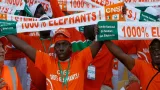 allez tous les elephants