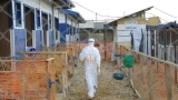 rdc-lepidemie-debola-frappe-plus-fort-4-000-morts-selon-msf