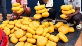 trafic-de-drogue-148-kg-de-cannabis-saisis-par-le-grad-daboisso-3-individus-interpelles