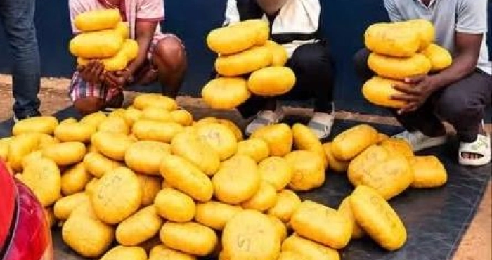trafic-de-drogue-148-kg-de-cannabis-saisis-par-le-grad-daboisso-3-individus-interpelles