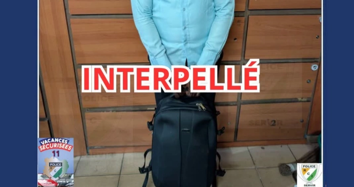un-suspect-interpelle-pour-vol-dordinateur-au-plateau