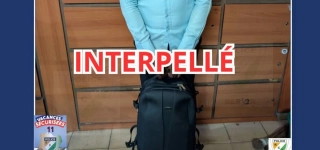 un-suspect-interpelle-pour-vol-dordinateur-au-plateau