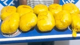 saisie-dune-importante-quantite-de-drogue-a-gagnoa