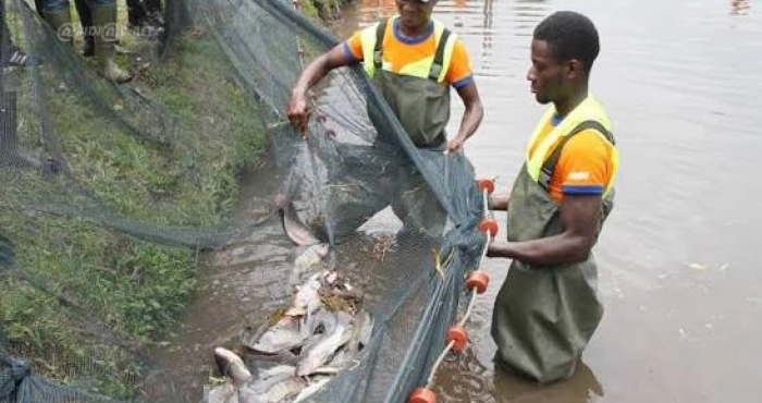 le-gouvernement-determine-a-reduire-la-dependance-aux-importations-de-ressources-animales
