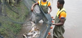 le-gouvernement-determine-a-reduire-la-dependance-aux-importations-de-ressources-animales