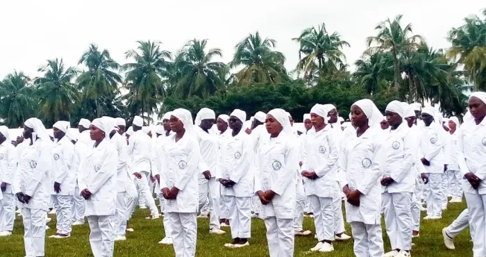 creation-de-lordre-national-des-infirmiers-ce-qui-change-dans-la-profession