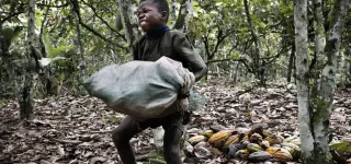 travail-des-enfants-63-enfants-sauves-et-24-personnes-aux-arrets