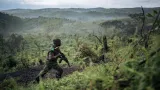 benin plusieurs rangers tues dans une embuscade dans le parc transfrontalier w
