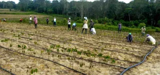 developpement-du-secteur-agricole-les-projets-agro-industriels-de-ouattara-prennent-forme-au-nord
