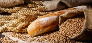 conflit-russo-ukrainien-alerte-a-la-famine