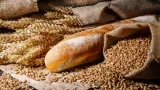 conflit russo ukrainien alerte a la famine