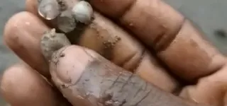 une-pluie-de-greles-sest-abattue-sur-daloa