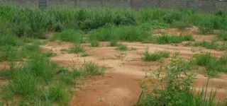 foncier-rural-voici-les-sites-des-terrains-a-problemes