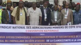 cote divoire orpaillage clandestin le synamci pour lapplication des textes visant a mettre fin a lorpaillage clandestin