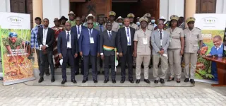 securite-alimentaire-un-programme-special-pour-proteger-le-manioc