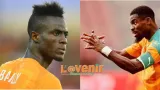 the three lions devorent les elephants eric bailly et serge aurier sempoignent