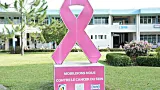 sante infantile cancer chez les enfants des bienfaiteurs volent au secours de 1000 enfants victimes de cancer