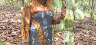 carte-du-producteur-cafe-cacao-des-producteurs-envoient-un-important-message-au-gouvernement