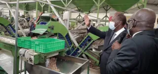 leader-mondial-de-la-production-comment-la-cote-divoire-veut-ameliorer-la-transformation-de-cajou