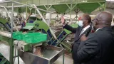 leader mondial de la production comment la cote divoire veut ameliorer la transformation de cajou