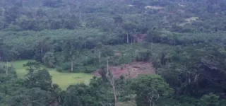 politique-forestiere-comment-la-cote-divoire-veut-redorer-le-blason