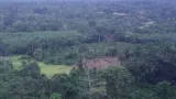 politique forestiere comment la cote divoire veut redorer le blason