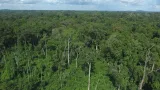 restaurer le couvert forestier detruit un defi surmontable pour la cote divoire