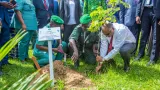 restauration du couvert forestier ivoirien le premier ministre patrick achi et une vingtaine dautres personnalites participent a une operation de planting darbres