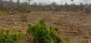 litige-foncier-a-bingerville-une-decision-du-conseil-detat-cree-de-vives-tensions-dans-un-village