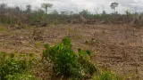 litige foncier a bingerville une decision du conseil detat cree de vives tensions dans un village
