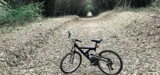 cote-divoire-rumeur-de-destruction-de-la-reserve-naturelle-de-dahliafleur-le-dementi-du-gouvernement