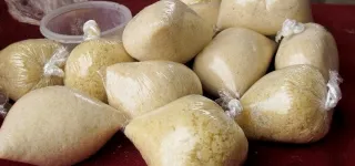 entreprenariat-ces-business-a-petit-budget-qui-rapportent-gros