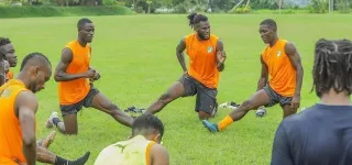 championnats-internationaux-ces-elephants-champions