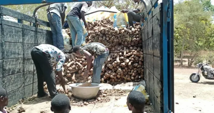 agriculture-ligname-une-filiere-qui-peine-a-sorganiser