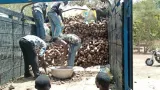 agriculture ligname une filiere qui peine a sorganiser