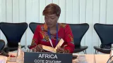 education unesco la ministre mariatou kone presente lafrique francophone au comite directeur de lodd4