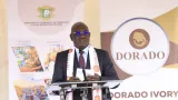 cote divoire transformation de cajou une usine de transformation de cajou ouvre ses portes a toumodi