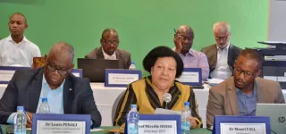 recherches-medicales-les-chercheurs-africains-se-mettent-en-reseau