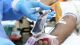 transfusion sanguine la cote divoire vers une autosuffisance en poches de sang