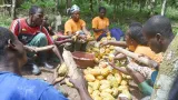 business ces secteurs les plus prometteurs en cote divoire