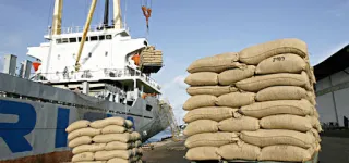 campagne-de-cacao-2022-2023-ces-bonnes-nouvelles-qui-attendent-les-producteurs-ivoiriens