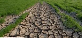 chine-lagriculture-fortement-menacee-par-la-canicule