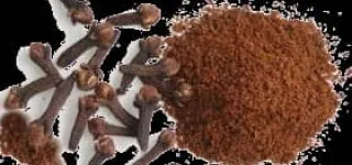 clou-de-girofle-un-antidote-contre-lacne