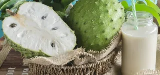 naturotherapie-le-corossol-detruit-12-types-de-cancer