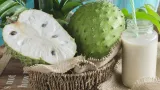 naturotherapie le corossol detruit 12 types de cancer