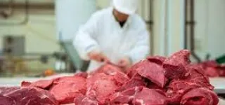 autosuffisance-en-viande-les-recettes-de-letat-pour-mettre-fin-a-la-dependance-exterieure