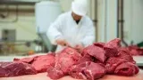 autosuffisance en viande les recettes de letat pour mettre fin a la dependance exterieure