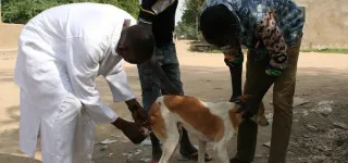 rage-un-cas-confirme-a-alepe