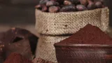 amelioration des conditions de vie des paysans letat distribue 70 milliards f cfa aux planteurs de cacao